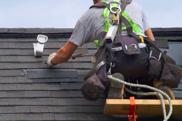 Roof Gutter Cleaning in Thunder Mountain, NM